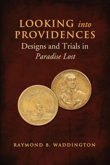 Cover of Looking into Providences
