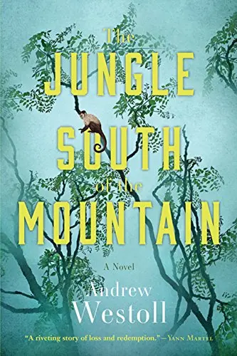 Cover of The Jungle South of the Mountain