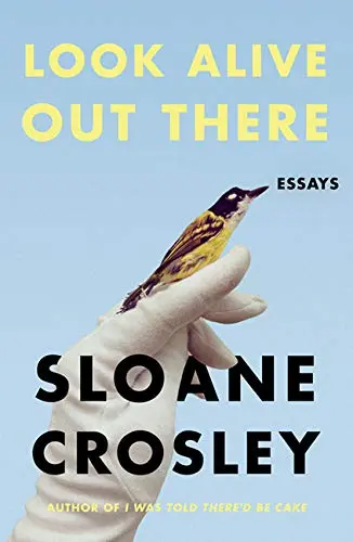 Cover of Look Alive Out There