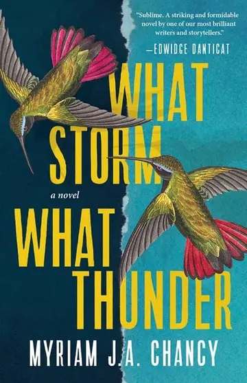 Cover of What Storm What Thunder Pb