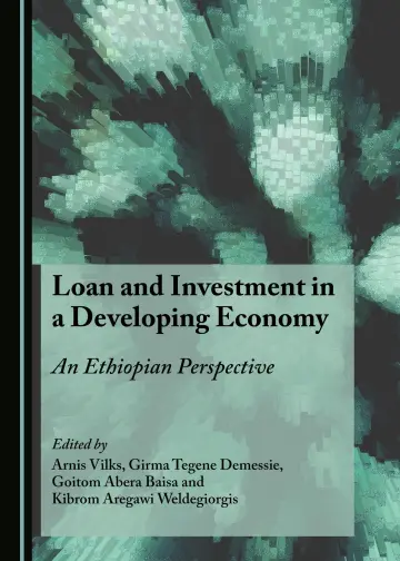 Cover of Loan and Investment in a Developing Economy
