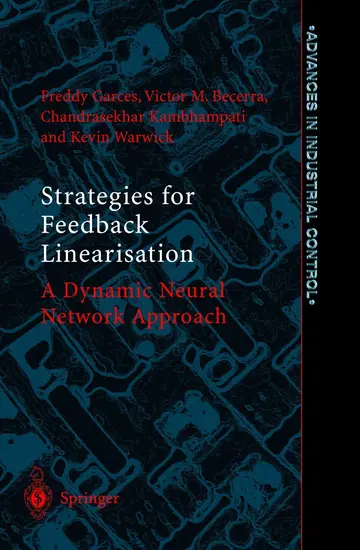Cover of Strategies for Feedback Linearisation