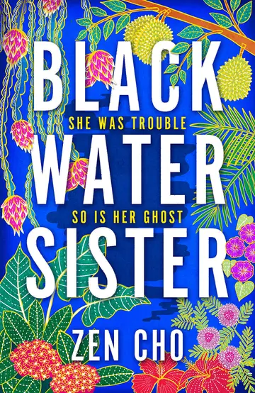 Cover of Black Water Sister