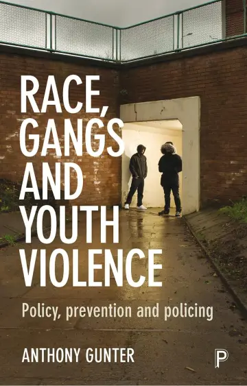 Cover of Young People Leaving State Care in China