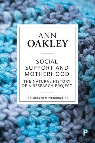 Cover of Social Support and Motherhood