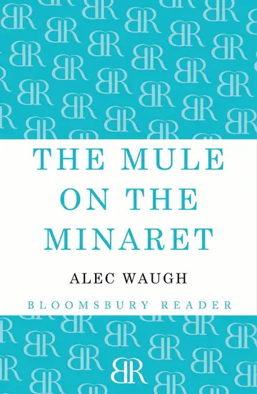 Cover of The Mule on the Minaret