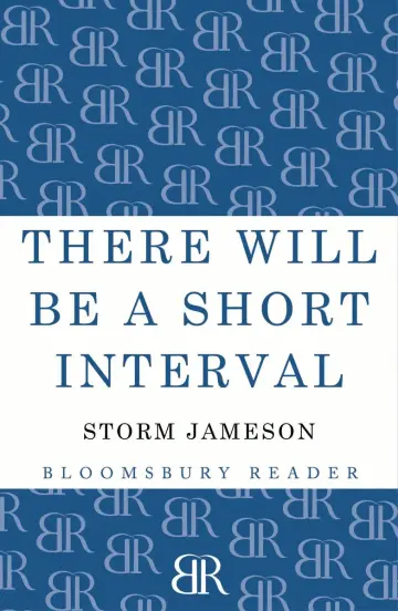 Cover of There will be a Short Interval