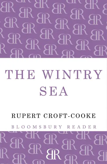 Cover of The Wintry Sea