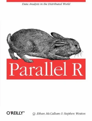 Cover of Parallel R
