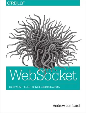 Cover of WebSocket