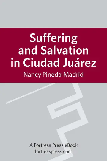 Cover of Suffering and Salvation in Cuidad Juarez