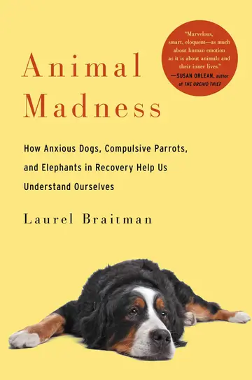 Cover of Animal Madness