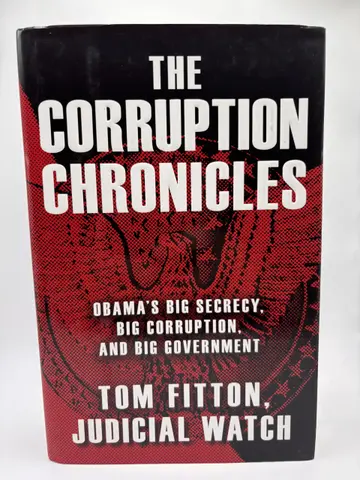 Cover of The Corruption Chronicles