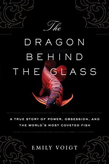 Cover of The Dragon Behind the Glass