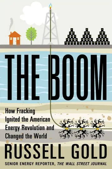 Cover of The Boom