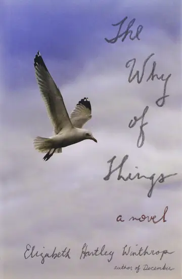 Cover of The Why of Things