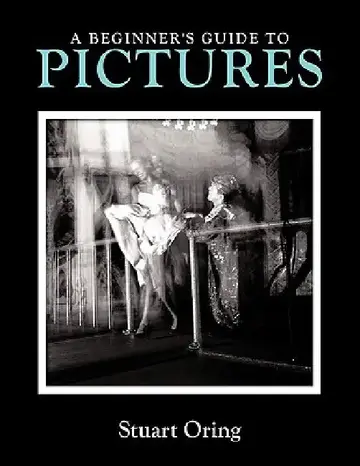 Cover of A Beginner's Guide to Pictures