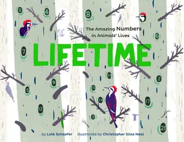 Cover of Lifetime