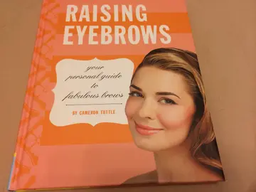 Cover of Raising Eyebrows