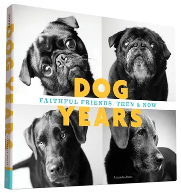 Cover of Dog Years