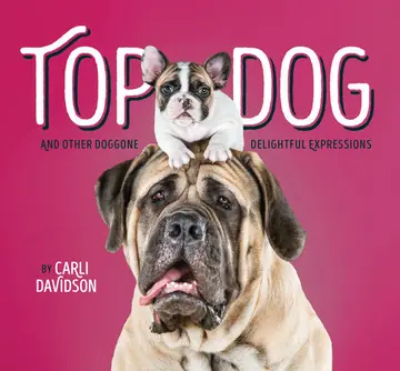 Cover of Top Dog