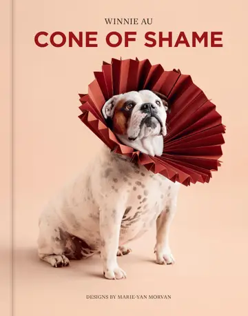 Cover of Cone of Shame