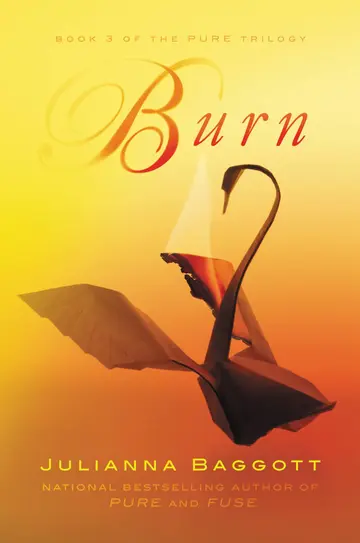 Cover of Burn