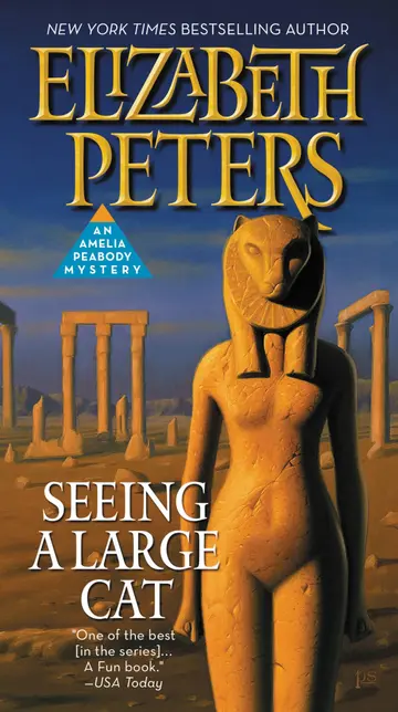 Cover of Seeing a Large Cat