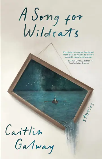 Cover of A Song for Wildcats