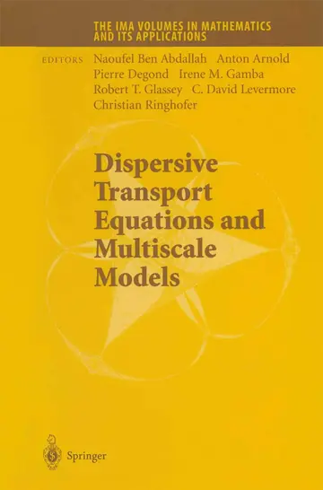 Cover of Dispersive Transport Equations and Multiscale Models