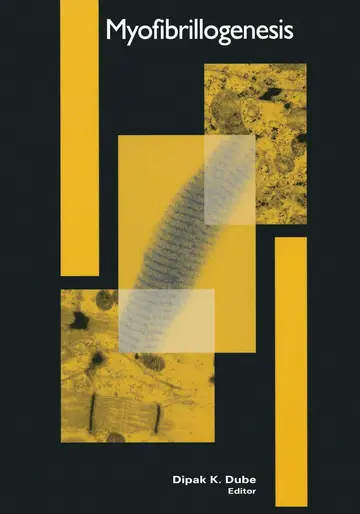 Cover of Myofibrillogenesis