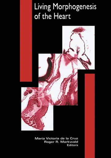 Cover of Living Morphogenesis of the Heart