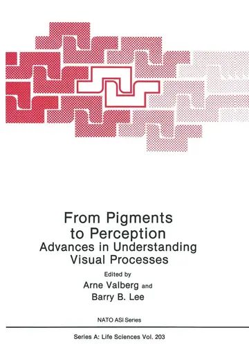 Cover of From Pigments to Perception