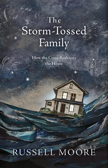 Cover of The Storm-Tossed Family