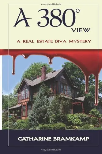 Cover of A 380 Degree View