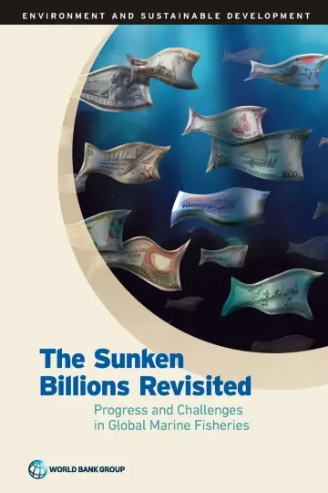 Cover of The sunken billions revisited