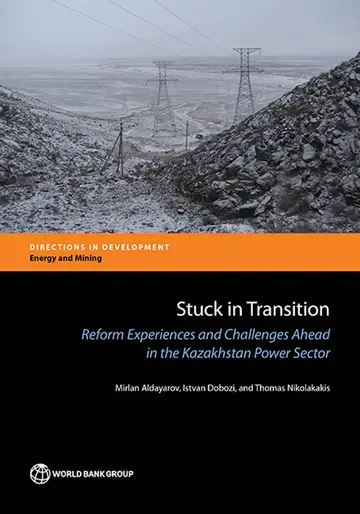 Cover of Stuck in transition