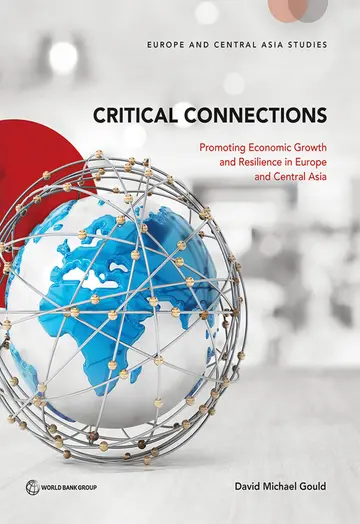 Cover of Critical Connections