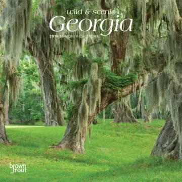 Cover of Georgia, Wild & Scenic 2019 Calendar