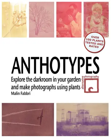 Cover of Anthotypes