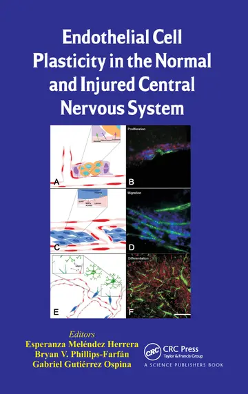 Cover of Endothelial Cell Plasticity in the Normal and Injured Central Nervous System