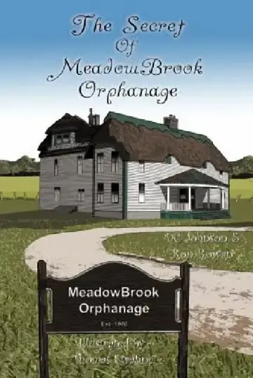 Cover of The Secret of Meadowbrook Orphanage