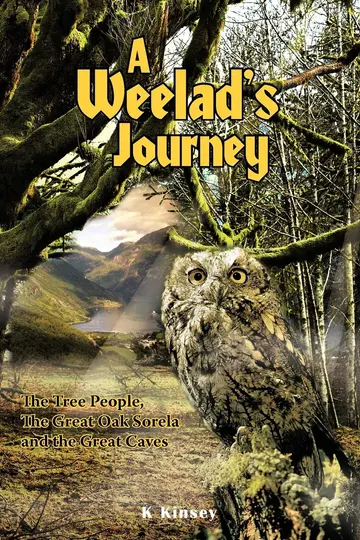Cover of A Weelad's Journey