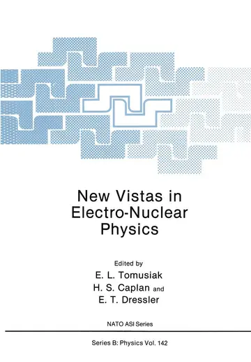 Cover of New Vistas in Electro-Nuclear Physics