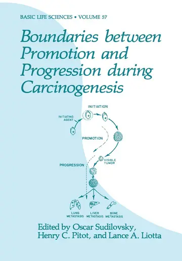 Cover of Boundaries between Promotion and Progression during Carcinogenesis