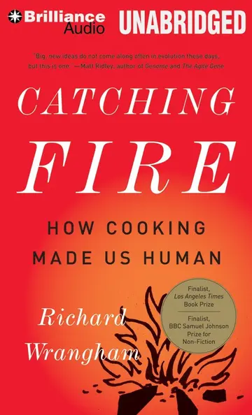 Cover of Catching Fire