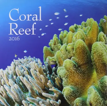 Cover of Coral Reef 2016 Calendar