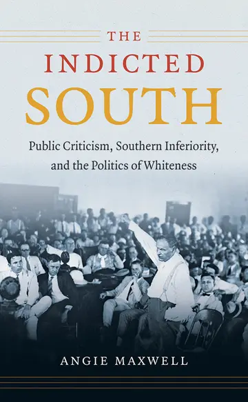 Cover of The Indicted South