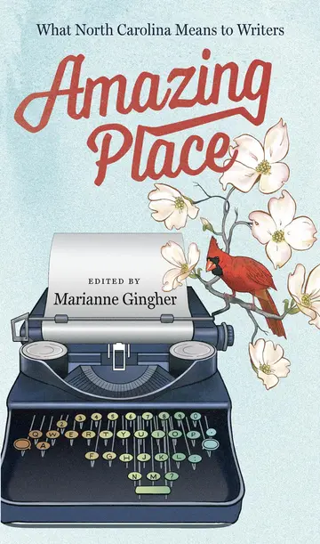 Cover of Amazing Place
