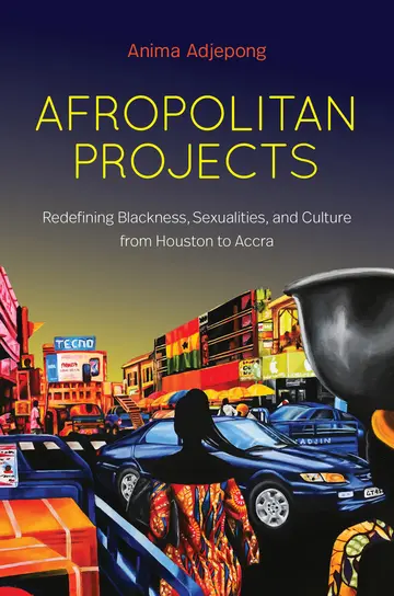 Cover of Afropolitan Projects